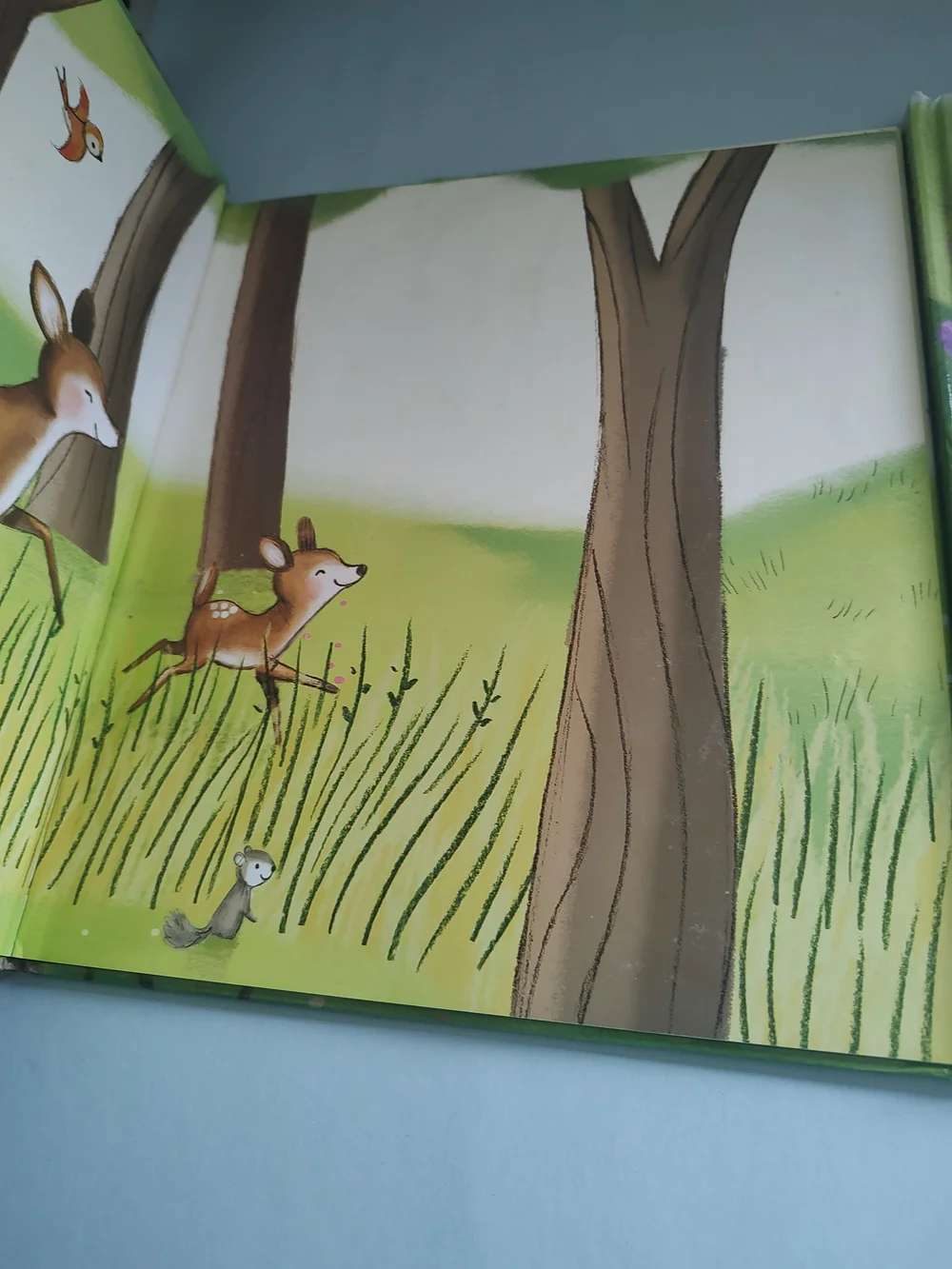 Bundle of  2  books For Kids  Hard Cover Excellent Condition